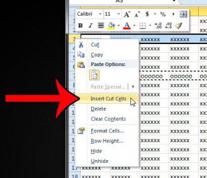 right click and insert cut cells