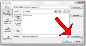 click remove link on the edit hyperlink window