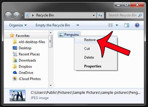 restore items from the recycle bin