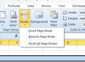 how to insert a page break in excel 2010