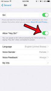 turn on the allow hey siri button