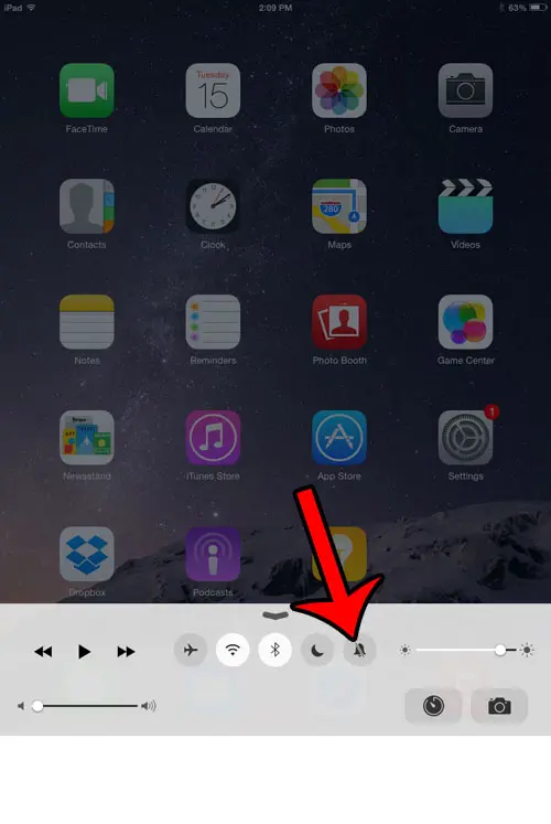 mute button in control center