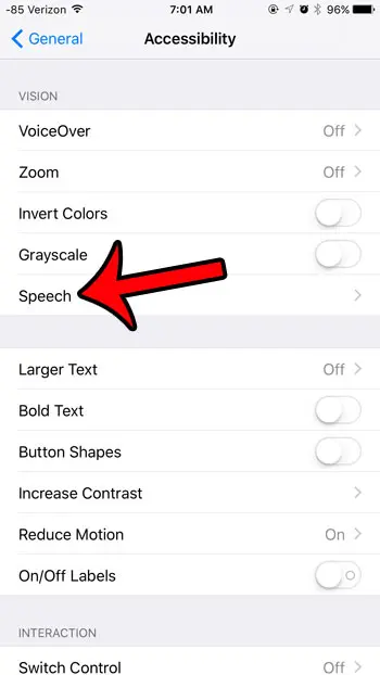 select the speech option