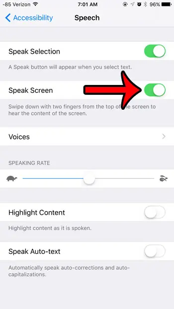 turn on the speak screen option