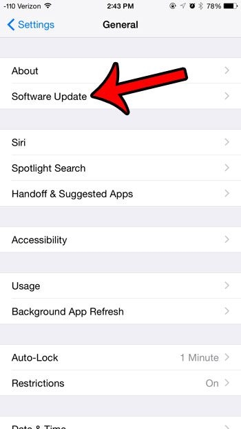 select the Software Update option