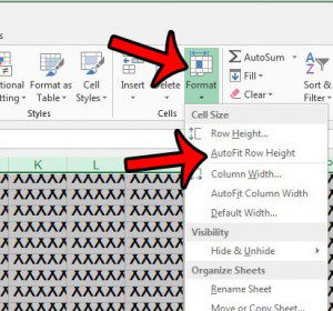 how to expand all rows in excel 2013