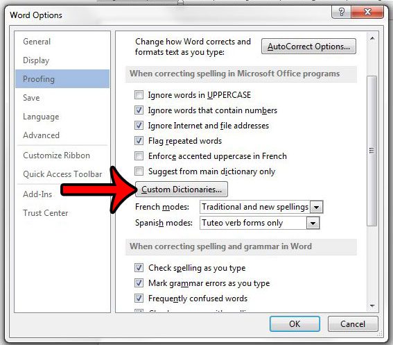 click the custom dictionaries button