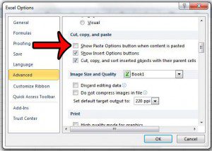 disable the auto fill options button in excel 2010