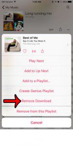 delete a downloaded song in apple music