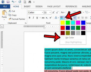 remove text highlighting in Word 2013