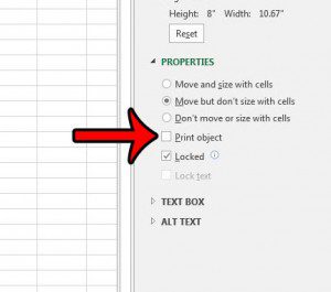 prevent picture from printing in excel 2013