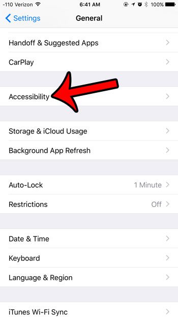 open the accessibility menu
