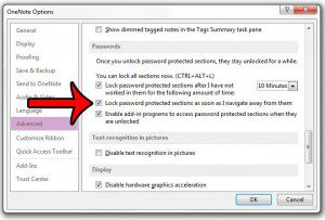 immediately lock password protected section in onenote 2013