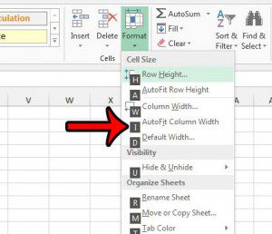 autofit column width