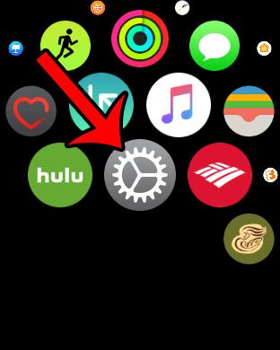 open the settings app on apple watch