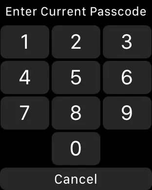 enter the passcode on the watch