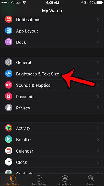 open the brightness and text size menu