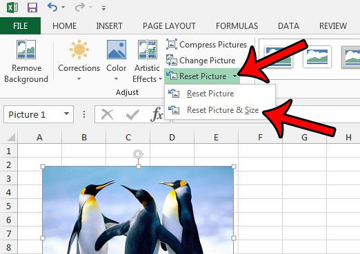 how to reset a picture to its original size in excel 2013
