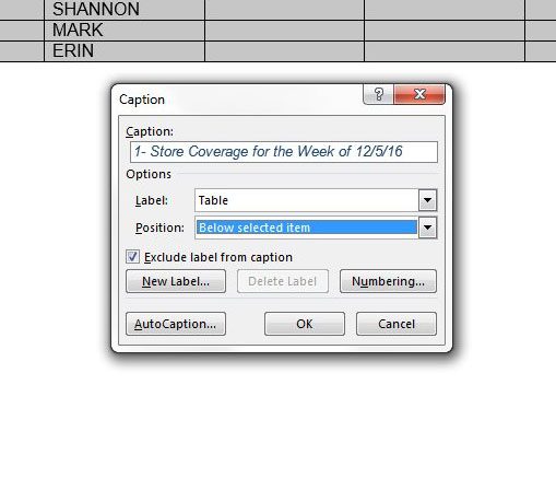how to insert a table caption in word 2013