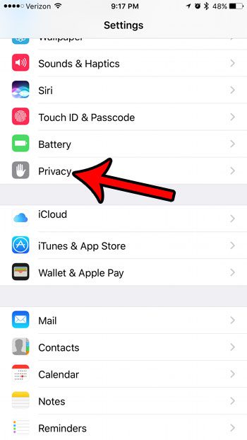 open the iphone privacy menu