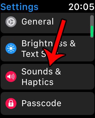 how to decrease alert volume on the apple watch