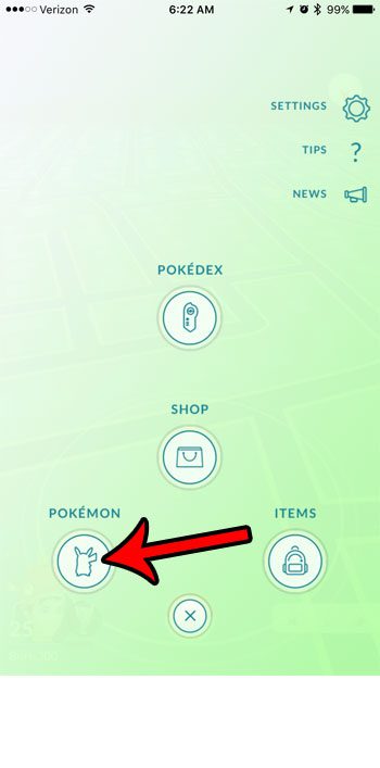 open the pokemon menu to find your eggs