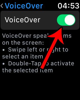 how to turn on voiceover on the apple watch
