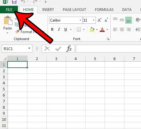 click the excel 2013 file tab