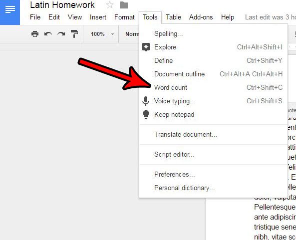 how to count number of words in google docs