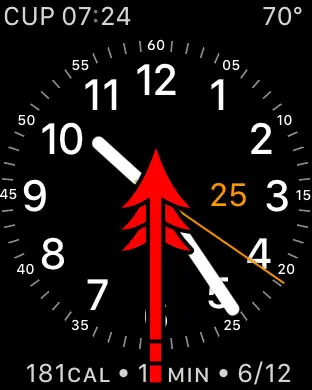 swipe up from the bottom of the apple watch screen