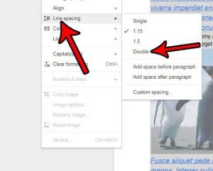 how to double space in google docs