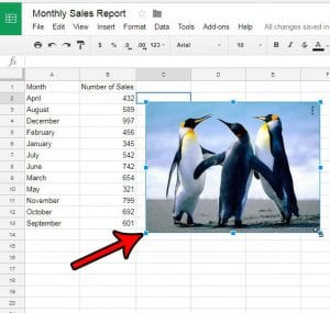 how to insert picture in google sheets
