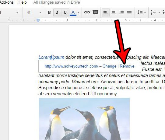 how to remove a hyperlink in google docs