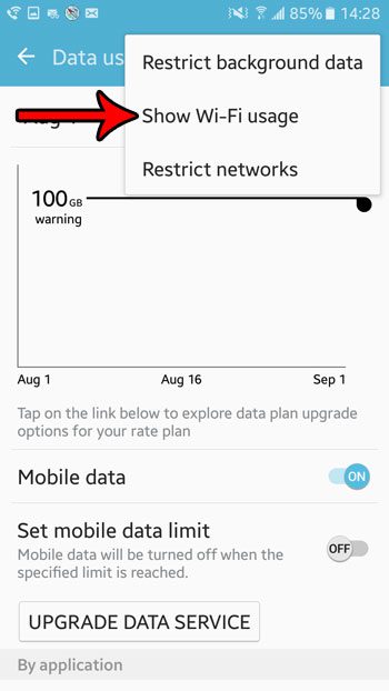 view wifi usage