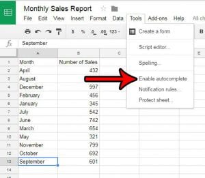 turn off autocomplete in google sheets