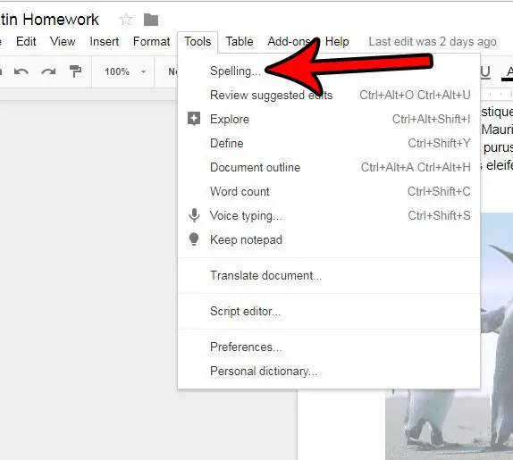 How to Run Spell Check in Google Docs - Solve Your Tech