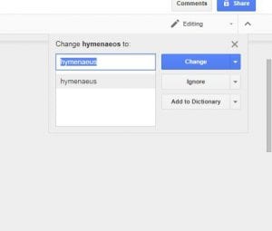 how to check spelling in google docs