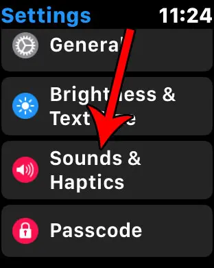 apple watch sounds and haptics menu