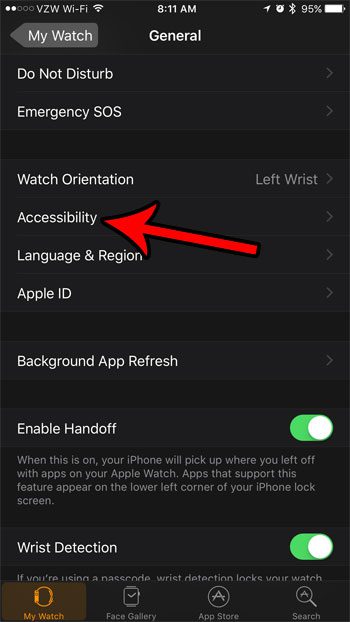 apple watch acccessibility settings