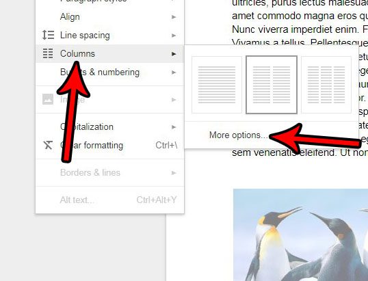 column options menu google docs