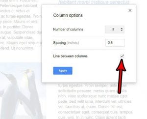 how put line between columns in google docs