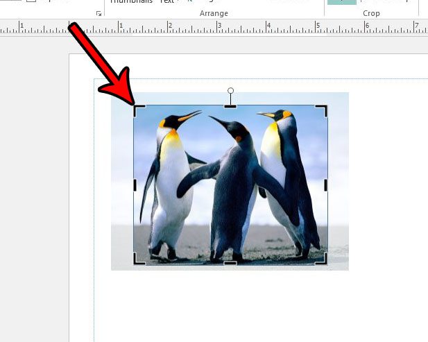 how to crop a picture in publisher 2013