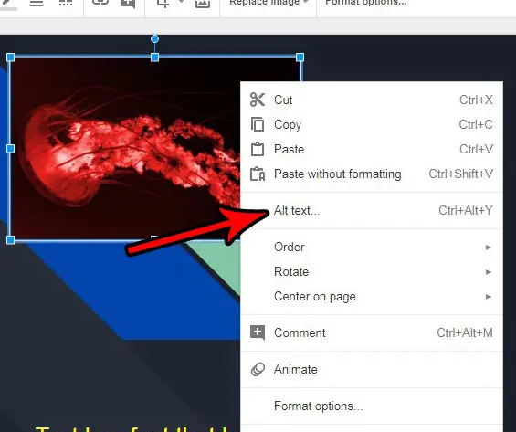 how to set picture alt text in google slides