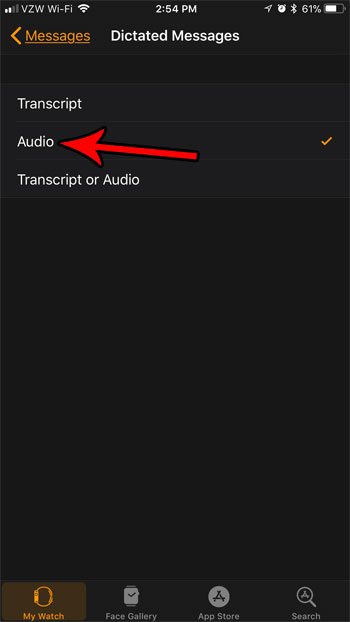 how to send dictated messages as audio on apple watch