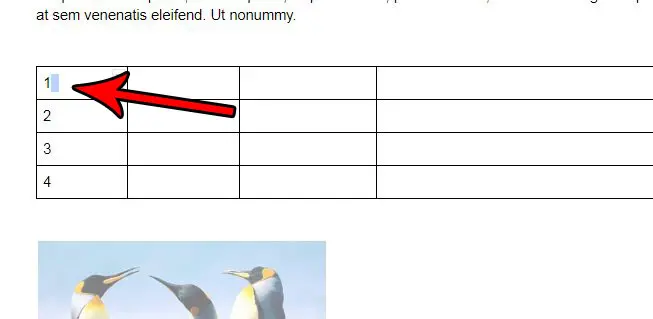 distribute columns google docs