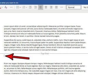 how to remove a page break in word online