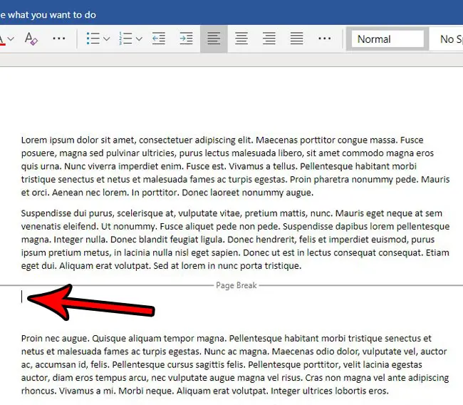 how to remove a page break in word online