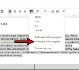 line spacing after a paragraph in google docs