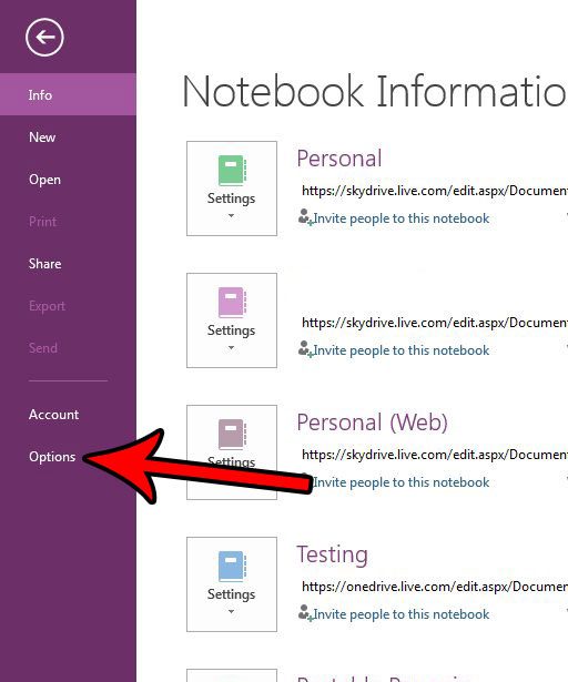 open onenote options