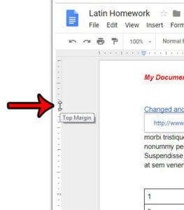 How to Reduce Header Size in Google Docs